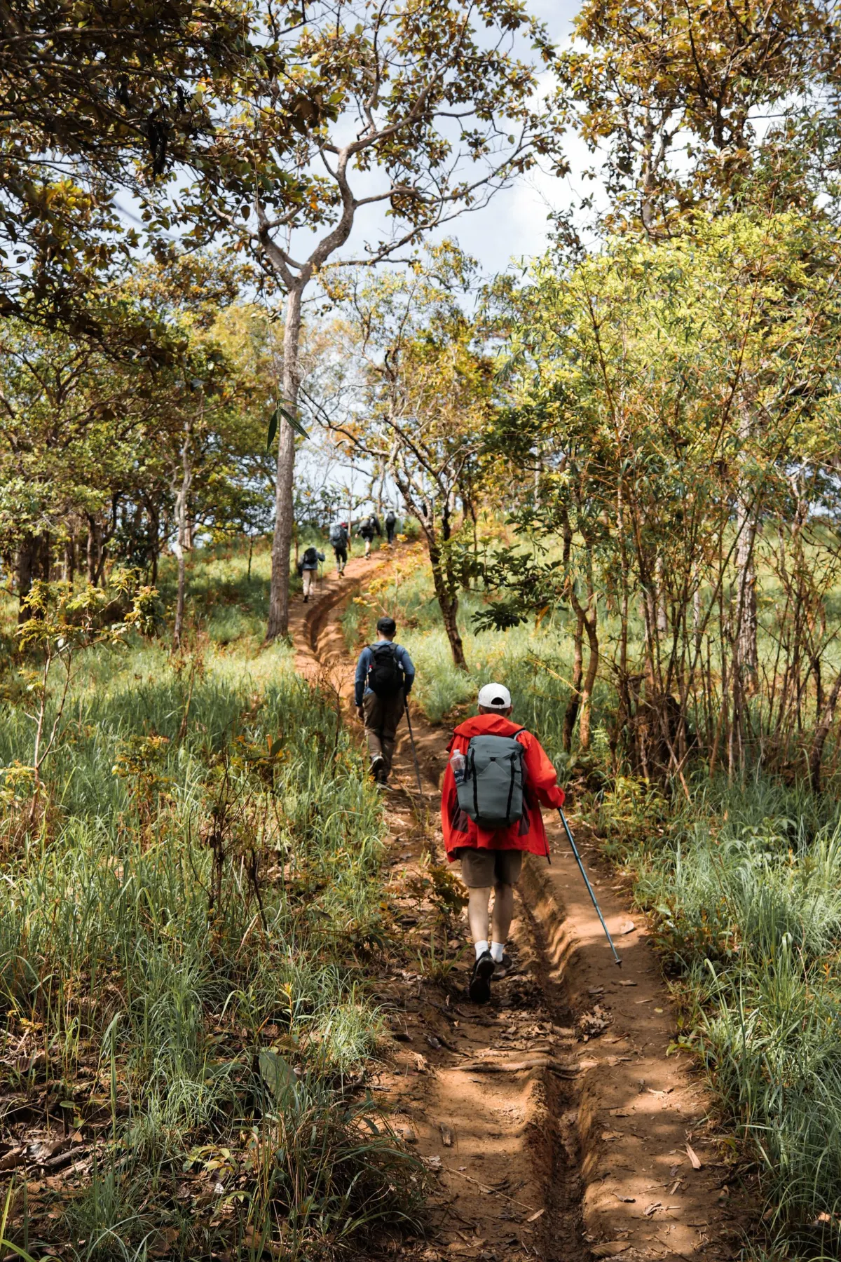 Du khách trekking trên đường mòn xuyên rừng tại Lâm Đồng, Việt Nam